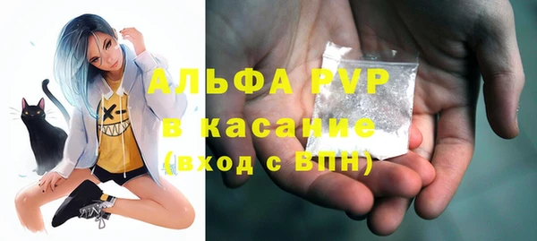 ГАЛЛЮЦИНОГЕННЫЕ ГРИБЫ Инсар