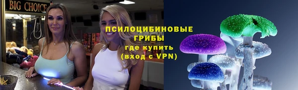 бошки Иннополис