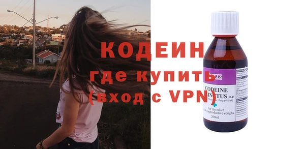 ГАЛЛЮЦИНОГЕННЫЕ ГРИБЫ Инсар