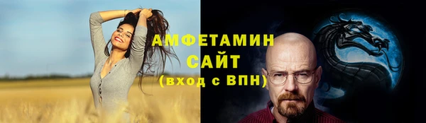 ГАЛЛЮЦИНОГЕННЫЕ ГРИБЫ Инсар