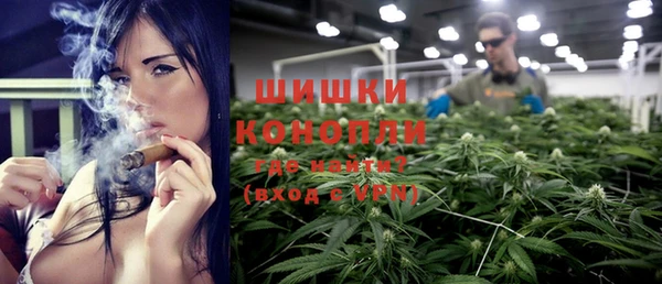 трава Инта