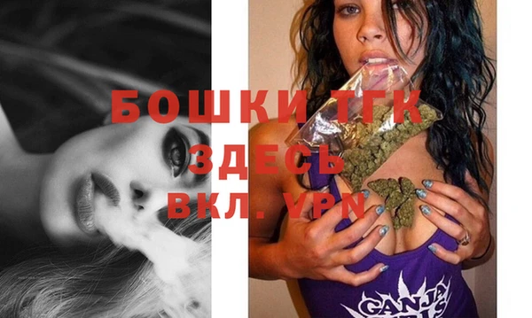ГАЛЛЮЦИНОГЕННЫЕ ГРИБЫ Инсар