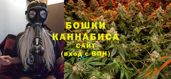 трава Инта