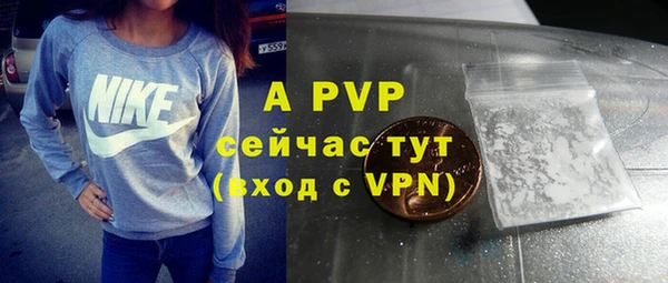 ГАЛЛЮЦИНОГЕННЫЕ ГРИБЫ Инсар