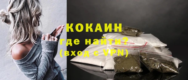 ГАЛЛЮЦИНОГЕННЫЕ ГРИБЫ Инсар