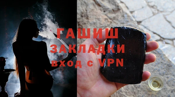 ГАЛЛЮЦИНОГЕННЫЕ ГРИБЫ Инсар